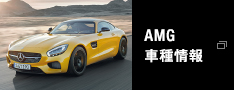 AMG 車種情報