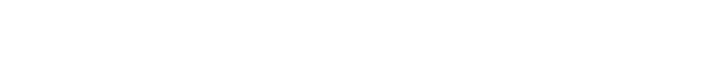GAINER DIXCEL SLS GAINER No.11