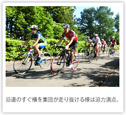 沿道のすぐ横を集団が走り抜ける様は迫力満点。